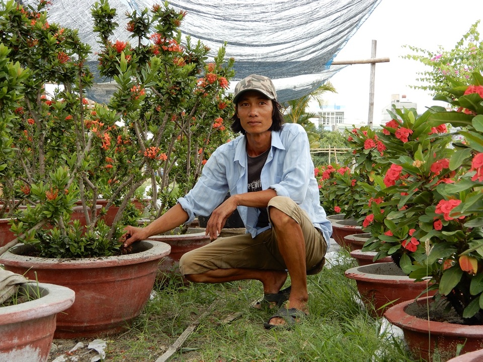 Trồng hoa trên đất dự án “treo”, bỏ túi 20 triệu đồng/tháng - 2 Anh Phương giới thiệu về các loại hoa