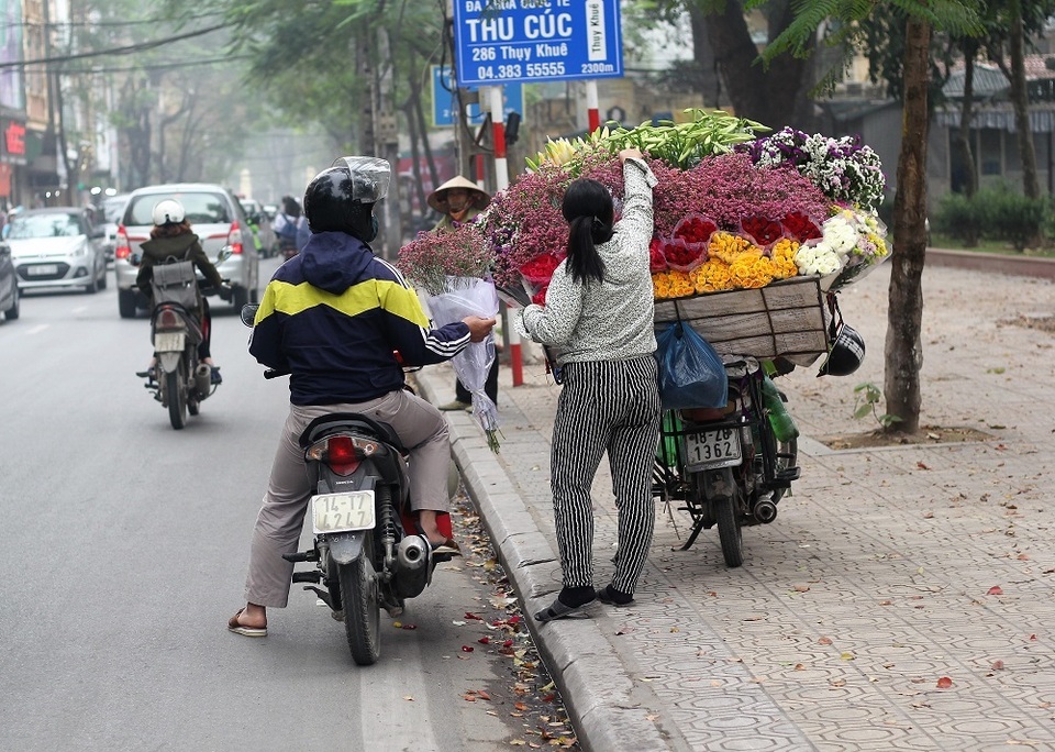 Loài hoa này không nở quanh năm mà chỉ nở một lần vào đầu hạ. Mùa hoa của nó ngắn ngủi và thường kéo dài trọn vẹn đến hết tháng 4.