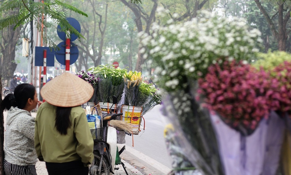 Hoa loa kèn (còn có tên gọi khác là hoa huệ tây hoặc hoa bách hợp) thường nở vào đầu tháng 4. Đây được xem là loại hoa báo hiệu mùa hè về.