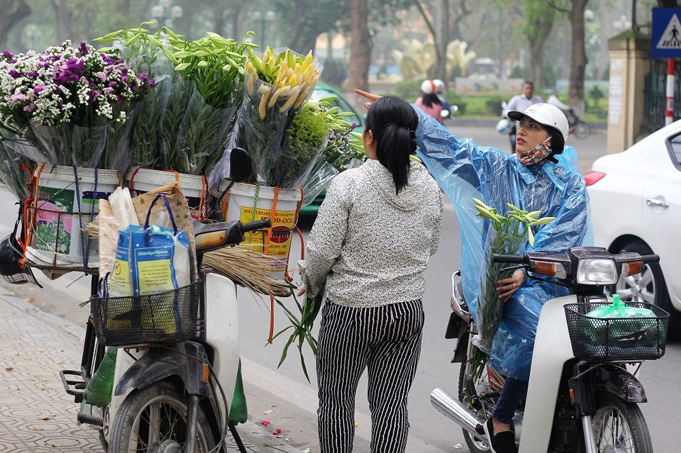 Một người mua đứng chọn hoa loa kèn tại khu vực đường Thanh Niên (Hà Nội)
