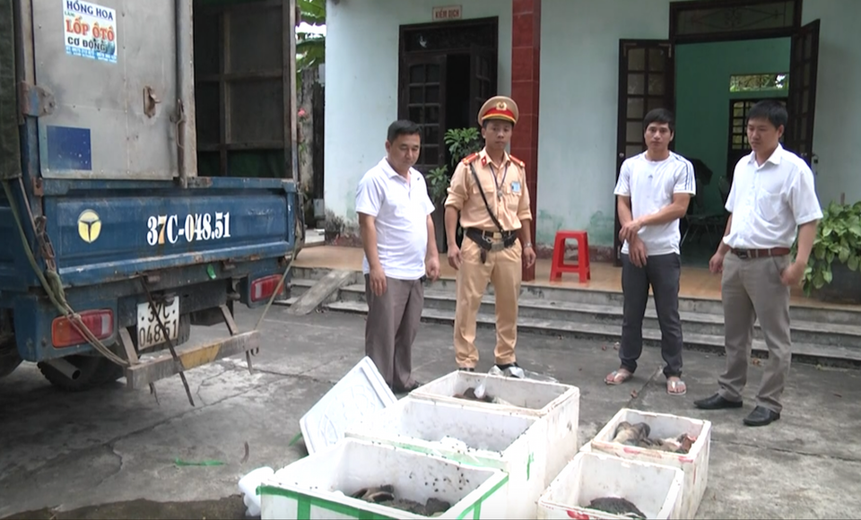 Tiêu hủy hơn 5 tạ chân và nội tạng không giấy tờ - 1 Ngày 14/5, Đội CSGT 1-48 bắt giữ xe tải chở 250kg sản phẩm động vật của trâu bò đã bốc mùi.