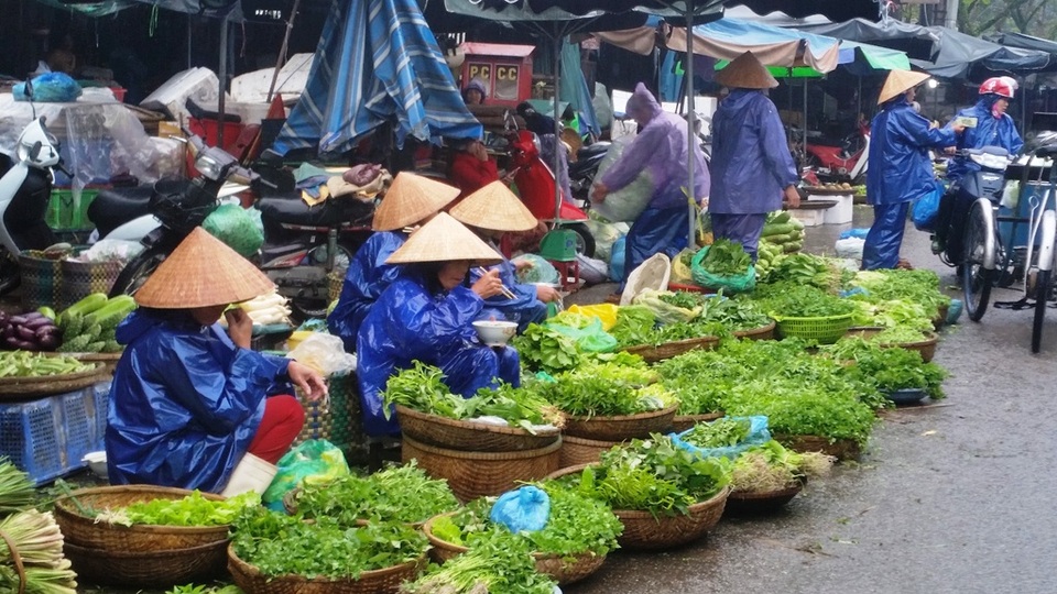 Sau Tết, giá các mặt hàng thiết yếu giảm 30% - 1 Rau xanh và củ quả được bán rất nhiều, giá giảm mạnh nhưng vẫn ế ẩm