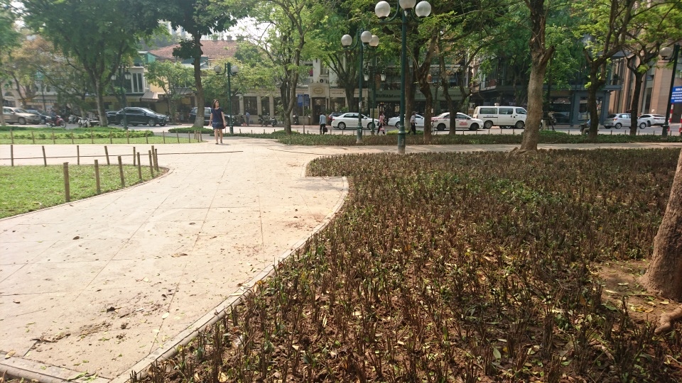 Hà Nội: Tháo dỡ ngay hàng chông tre nguy hiểm ở vườn hoa - 5 Những cọc tre vót nhọn đã được nhổ bỏ ngay khi dư luận phản đối.