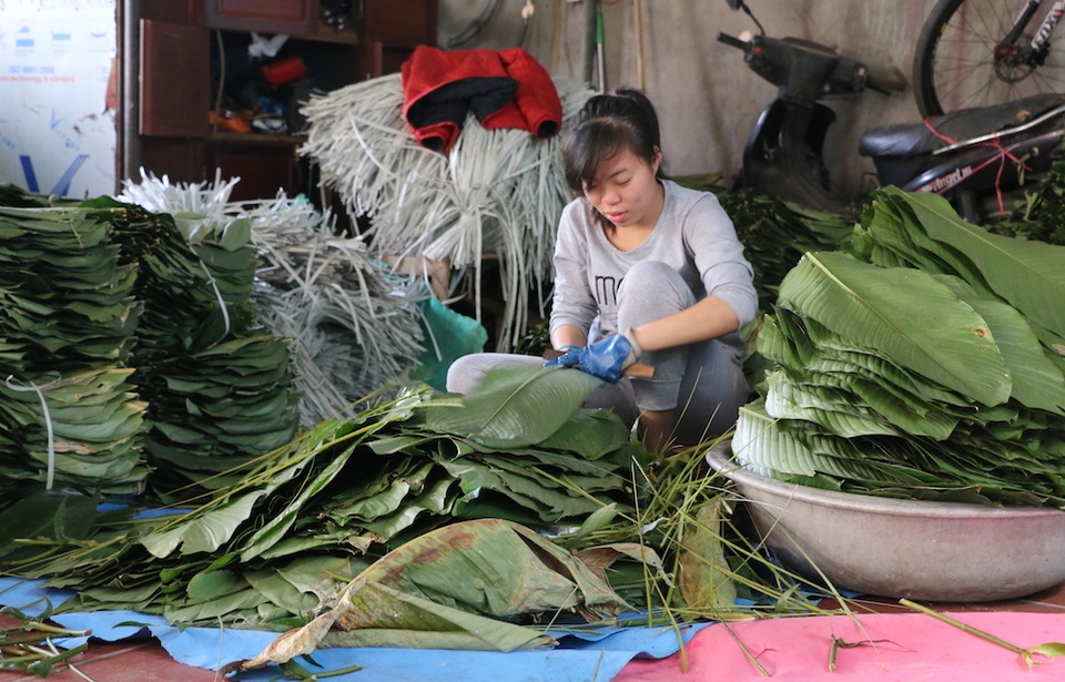 Công nghệ luộc siêu nhanh ở làng làm bánh chưng lớn nhất cả nước - 8
Người nấu bánh chưng Tranh Khúc thường chọn lá dong ở Tràng Cát (Hà Nội), thậm chí nhập về từ Thanh Hóa, Nghệ An hoặc ở vùng cao Yên Bái, Lào Cai, Hà Giang.