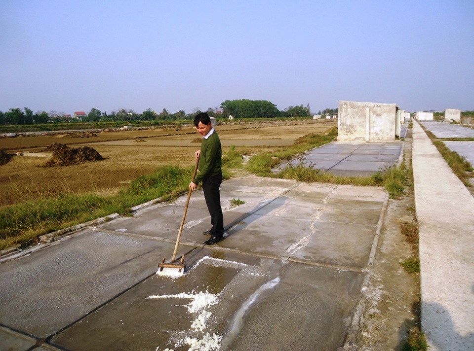 Diêm dân không còn lối thoát? - 4 Sản xuất muối ở Hợp tác xã Tam Hòa, xã Hòa Lộc, huyện Hậu Lộc