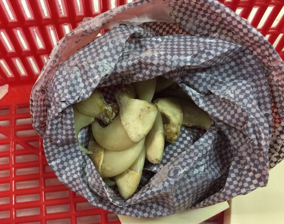 Phát hiện vụ vận chuyển đuôi voi, da báo gấm qua sân bay - 4 Tang vật lực lượng chức năng thu giữ