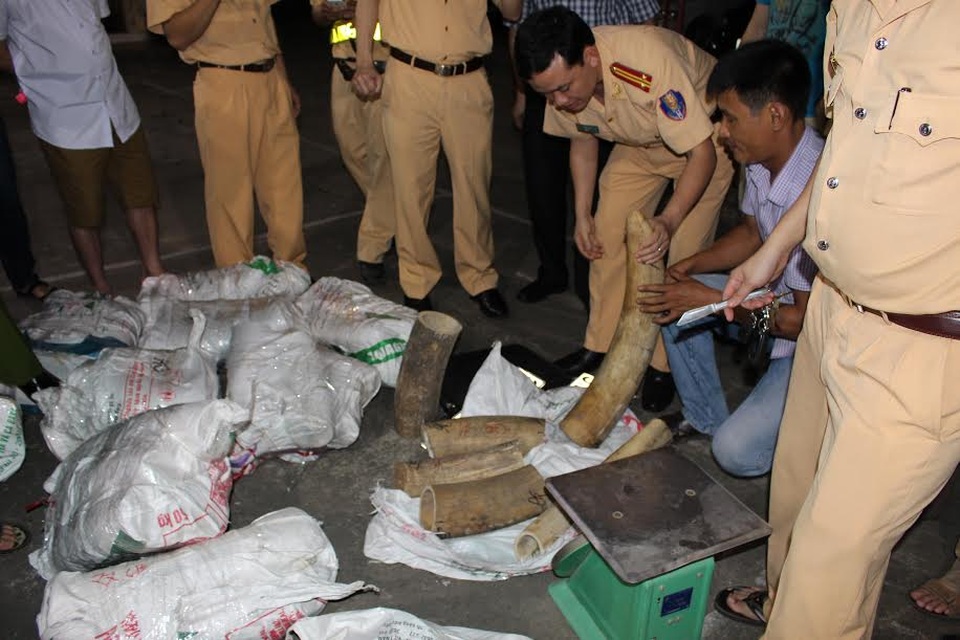 CSGT Bắc Giang bắt giữ nhiều tội phạm trên tuyến giao thông - 2
Đối tượng Nguyễn Quang Huy và số ngà voi bị bắt giữ