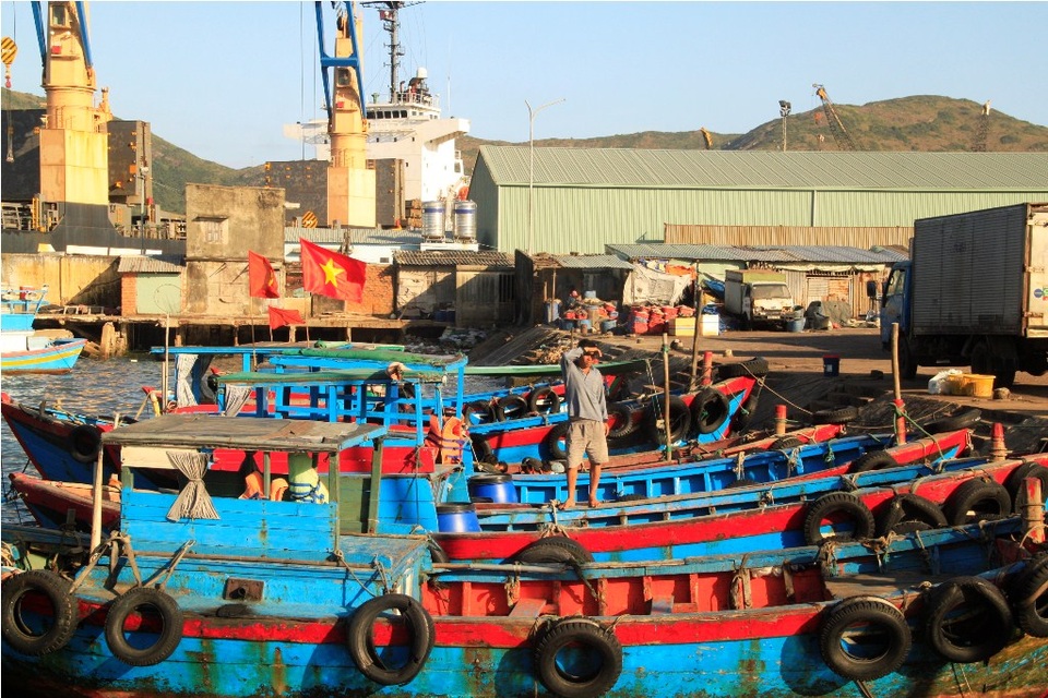 30 phương tiện đò ngang “hết đát” vẫn công khai chở khách - 1 Trên 30 tiện ở bến đò Hàm Tử đi Hải Minh (TP Quy Nhơn) đã hết hạn đăng kiểm nhưng vẫn công khai chở khách