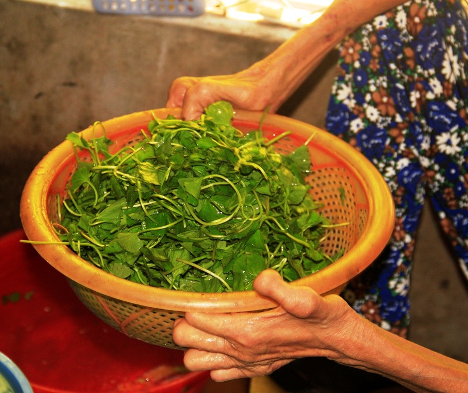 Bình Định: Làng phụ nữ không có ngày 8/3 vẫn hạnh phúc! - 9 Đôi tay bà Hà chỉ còn 1 hai đốt rất khó khăn trong sinh hoạt hàng ngày