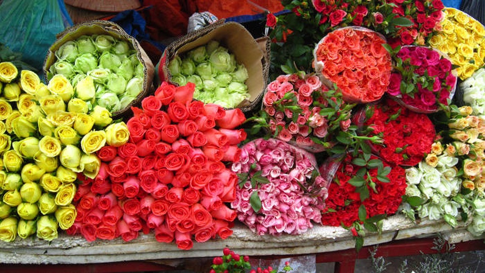 Bí quyết giữ hoa cắm tươi lâu trong những ngày Tết - 1 Bí quyết giữ hoa cắm tươi lâu trong những ngày Tết - 1