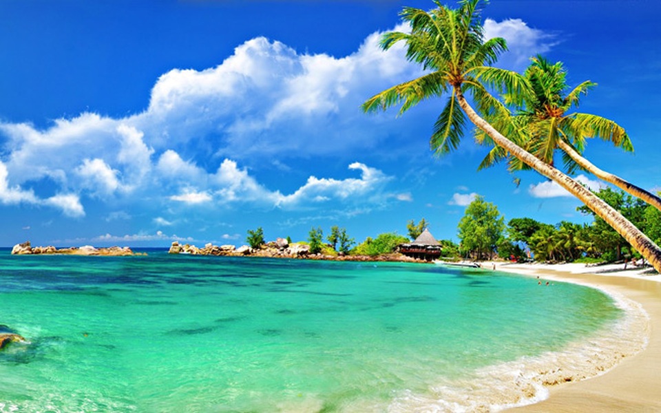 Hà My – bãi biển ít người biết tới ở Việt Nam lọt top đẹp nhất châu Á - 2 Hà My – bãi biển ít người biết tới ở Việt Nam lọt top đẹp nhất châu Á - 2