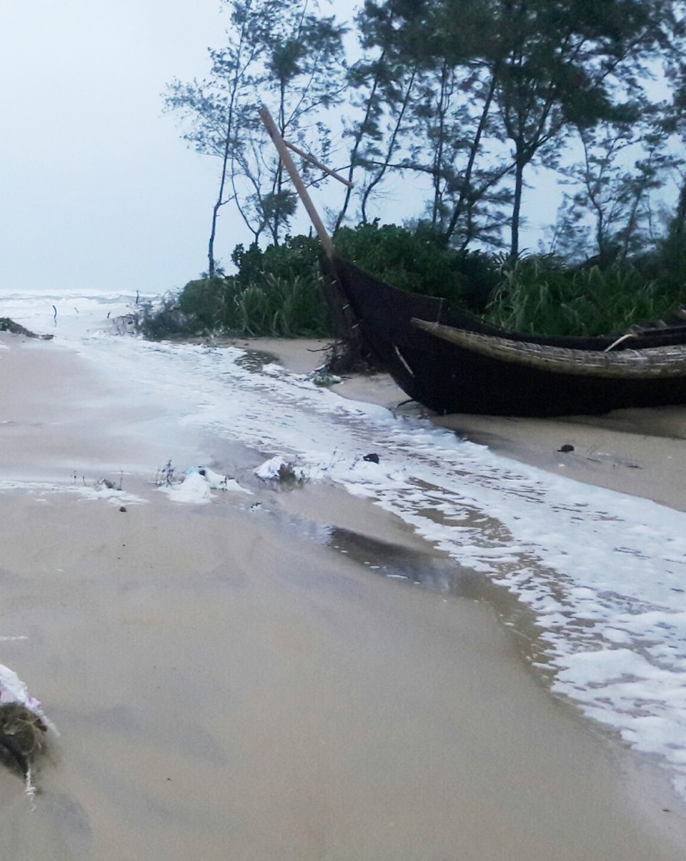 
Một cửa biển mới đưa nước vào bờ
