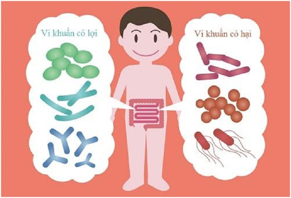 Con hết ê a ngậm cơm nhờ mẹ tìm đúng “thủ phạm” gây biếng ăn - 2 Con hết ê a ngậm cơm nhờ mẹ tìm đúng “thủ phạm” gây biếng ăn - 2
