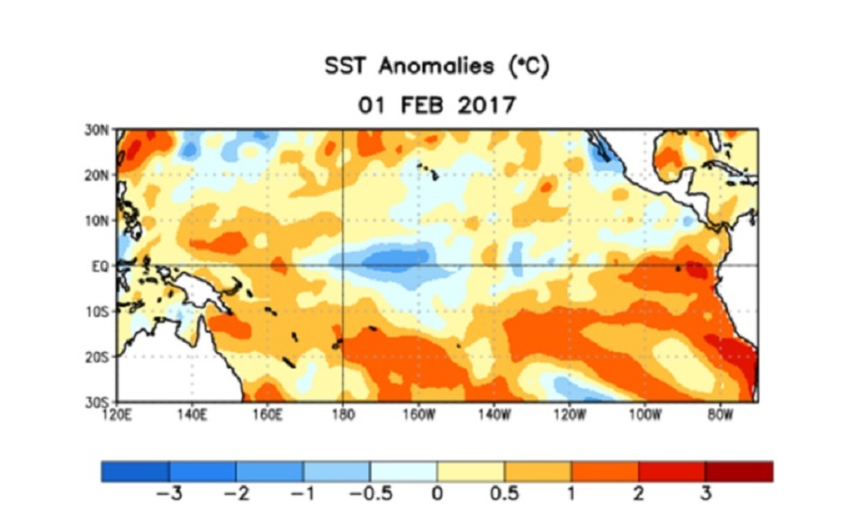 Bản đồ dị thường nhiệt độ nước biển vào tháng 2/2017 (nguồn: NOAA)