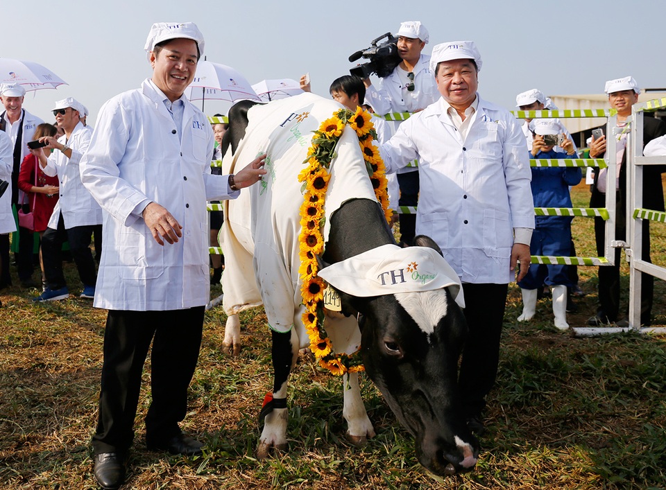 Tập đoàn sữa sở hữu trang trại bò hữu cơ đầu tiên của Việt Nam - 2
Với thành tựu về phát triển công nghệ phôi giống bò sữa cao sản, các kỹ thuật viên của trang trại đã thực hiện thành công công nghệ cấy chuyển phôi phân ly giới tính cho ra đời đàn bò sữa cao sản có năng suất vượt trội 12.000 -13.000 lít/chu kỳ/năm