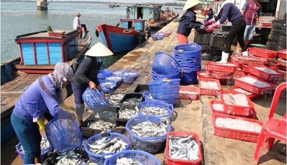Tạm cấp kinh phí bồi thường sự cố môi trường biển lần 2 - 1
Việc bồi thường giai đoạn 1 được xác định đã hoàn thành trước Tết, đáp ứng yêu cầu đề ra.