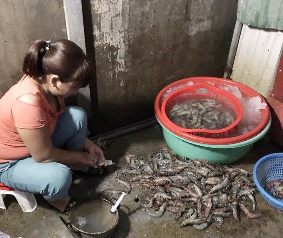 Hà Nội: Bắt quả tang một cơ sở đang bơm tạp chất vào tôm - 1 Người phụ nữ này đang thực hiện hành vi bơm tạp chất vào tôm nhằm gian lận thương mại, cho tôm có trọng lượng nặng hơn để kiếm lời.