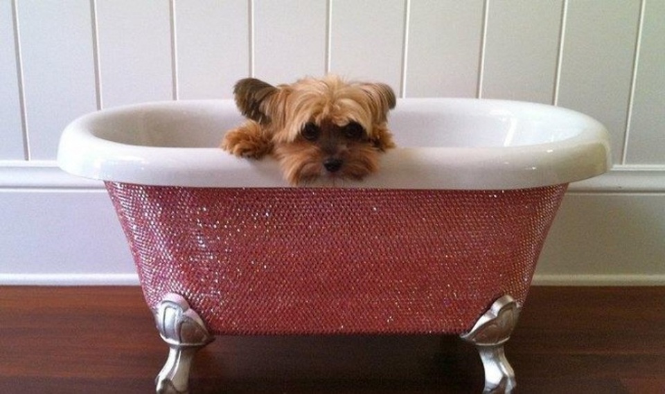 Những thứ rất bình thường nhưng có giá “không tưởng” - 6