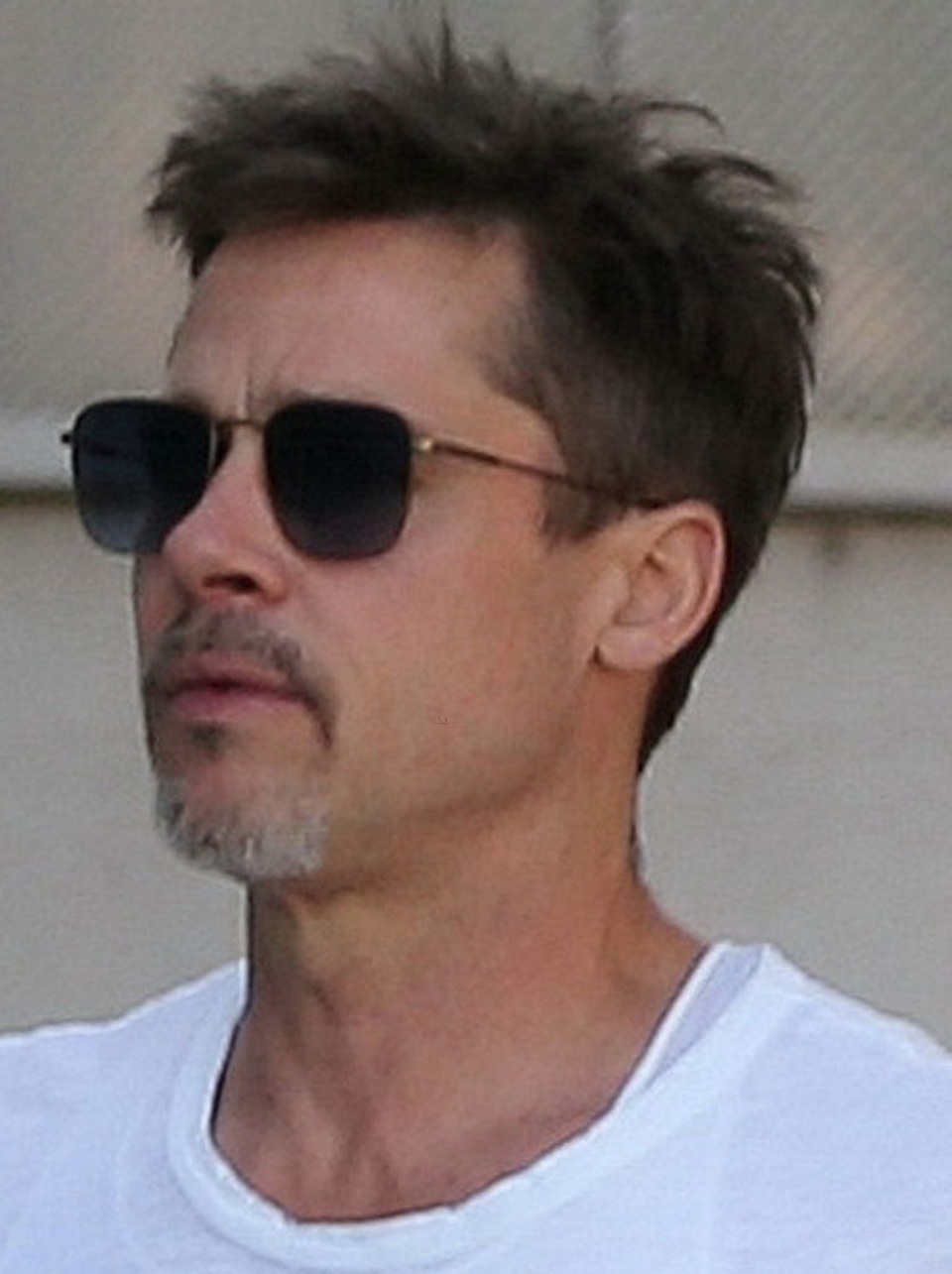 Brad Pitt tươi rói khi tiếp xúc với phóng viên - 11