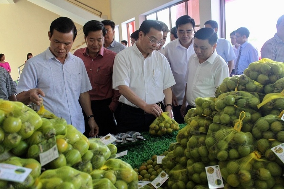 Công bố Chỉ dẫn địa lý Hồng không hạt Quản Bạ - 3
Bộ truởng Chu Ngọc Anh thăm các gian hàng trưng bày sản phẩm Hồng không hạt Quản Bạ được Chỉ dẫn địa lý.