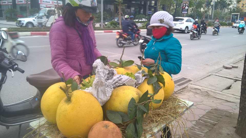Bòng Kỳ đà bằng 4 quả bưởi tiến vua, giá nửa triệu đồng/quả - 1 Bòng Kỳ Đà được bày bán ở Hà Nội là do thương lái lấy từ Tuyên Quang về. Năm nay loại quả này bắt đầu bán từ ngày 20 âm lịch. So với bề ngoài, bòng Kỳ đà to gấp từ 3 - 4 lần bưởi đỏ tiến vua để bên cạnh