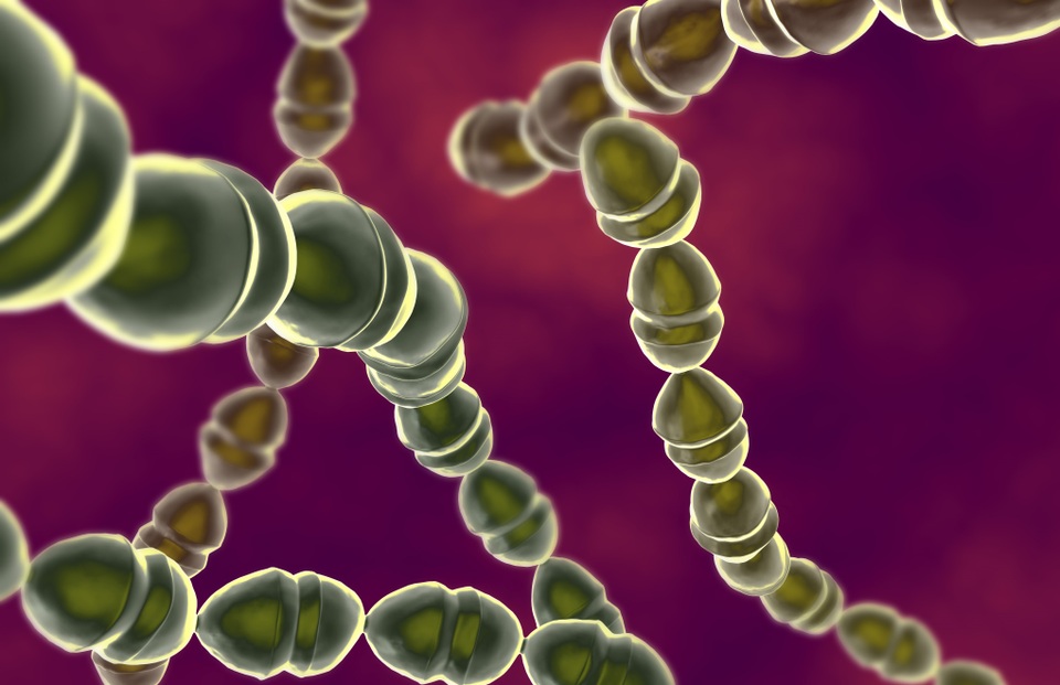 Vi khuẩn phế cầu gây ra nhiều căn bệnh nguy hiểm ở trẻ em