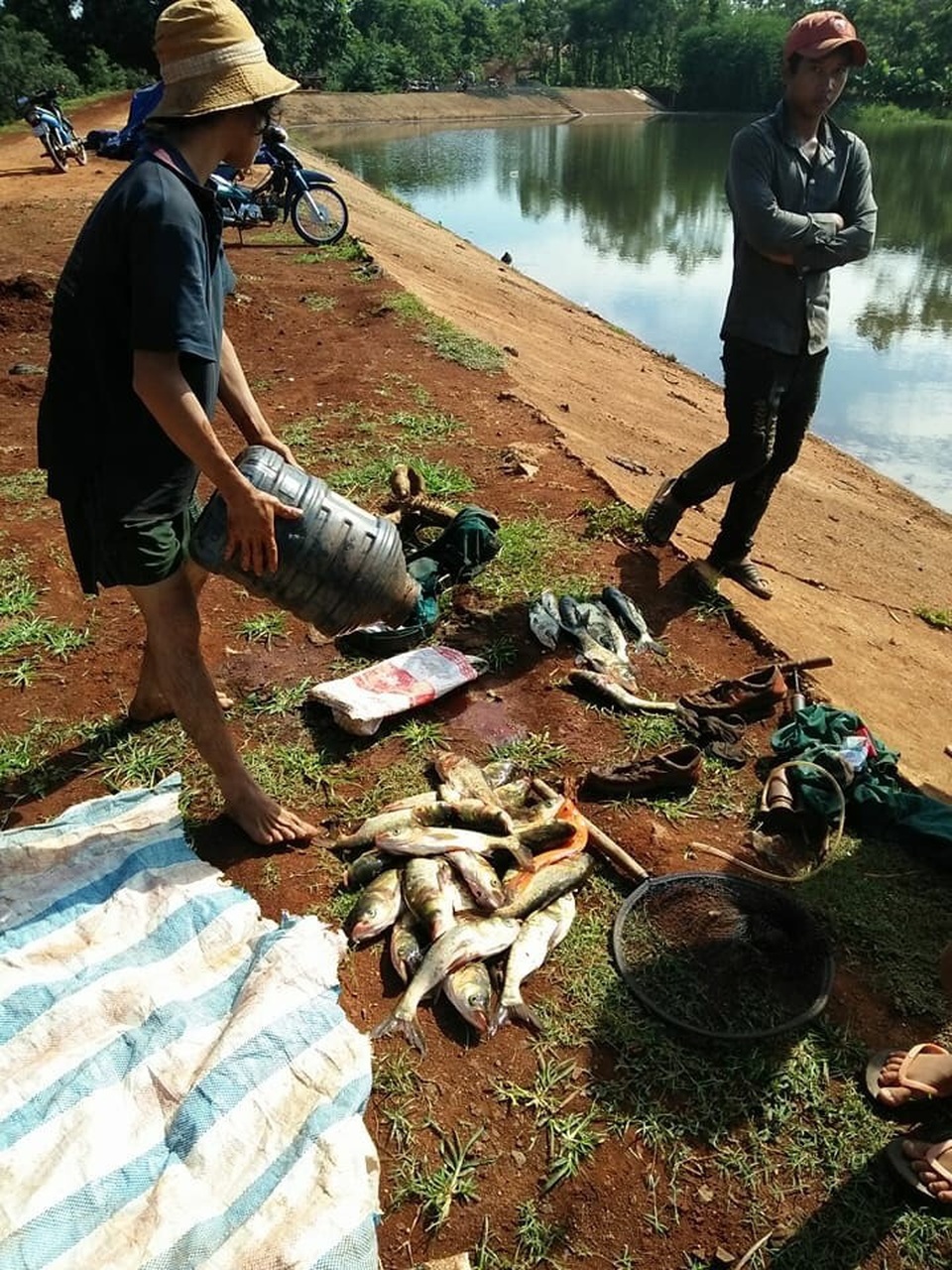 Người dân vớt cá chết dưới hồ lên