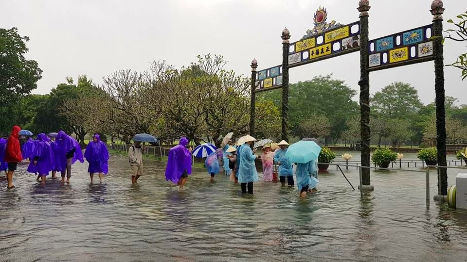 Hàng trăm con cá cảnh ở Hoàng Cung Huế... lên cầu bơi lội! - 7
Khá đông du khách vẫn thích vào thăm Hoàng Cung Huế trong ngày mưa lũ, để được xem cá chép Vua nhảy múa trên cầu.