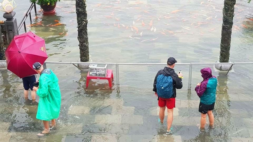 Hàng trăm con cá cảnh ở Hoàng Cung Huế... lên cầu bơi lội! - 8 Du khách không rời mắt khỏi đàn cá khá hiếu động và biết cách xin mọi người thức ăn ở Hoàng Cung Huế này (ảnh: facebook Di Tích Huế)