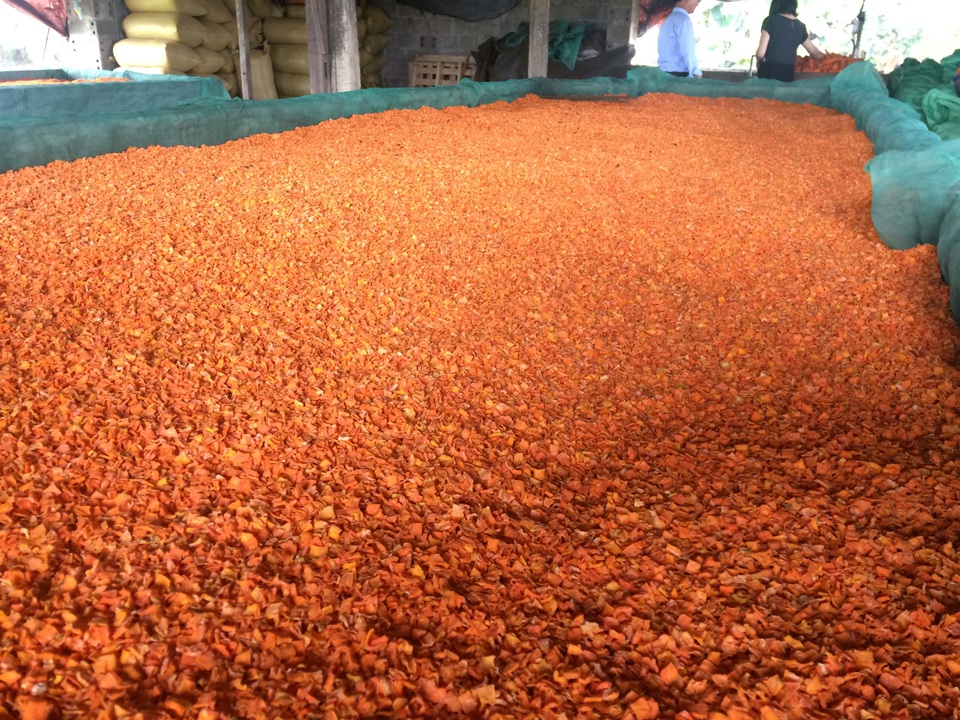 Cà rốt thải loại sau khi chế biến