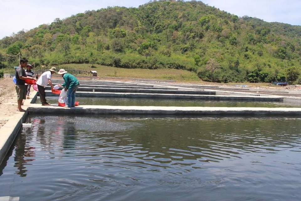 Để doanh nghiệp chặn suối nuôi cá tầm, Chủ tịch và Bí thư xã bị kỷ luật - 2
Để nuôi cá tầm chủ cơ sở đã chặn ngang dòng suối Krông Bông