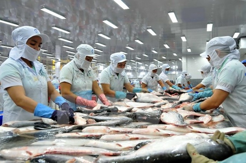 Cá tra Việt Nam bị phản ánh sai lệch trên sóng truyền hình Tây Ban Nha - 1 Chính vì tiêu chí giá rẻ đã khiến cá tra Việt Nam bị một số nhóm cạnh tranh lợi ích với cá tra tại Đức, Pháp, Tây Ban Nha truyền thông tiêu cực trong nhiều năm từ năm 2010.