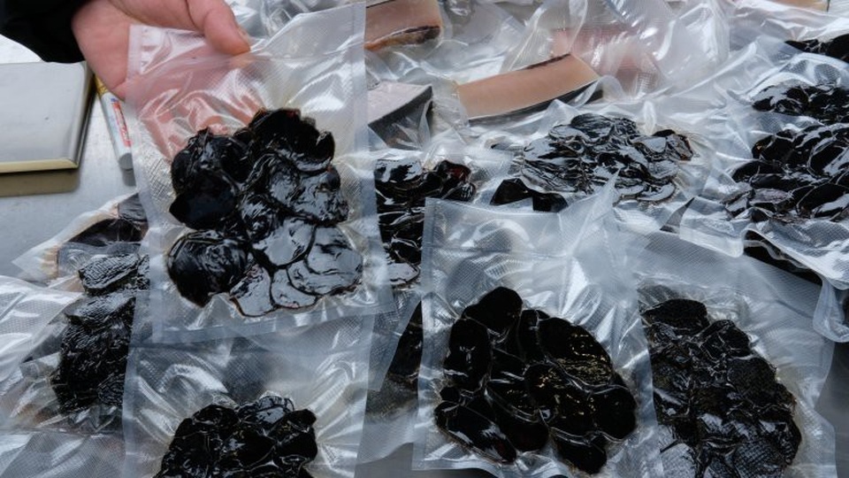 Kinh hoàng cảnh tượng hàng trăm con cá voi, cá heo bị giết ở quần đảo Faroe - 7