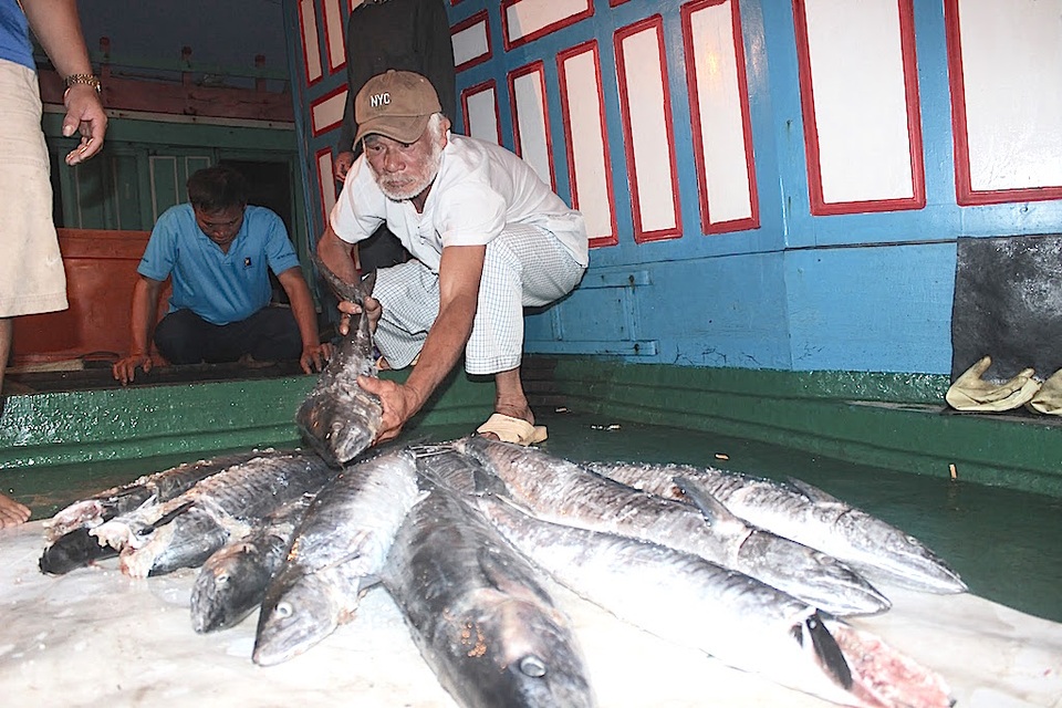 Ngư dân trúng đậm cá, thu về gần 400 triệu đồng - 1 Ngư dân tàu 67 trúng đậm mùa cá thu.