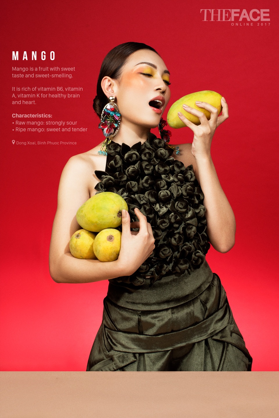 Cẩm Anh là một gương mặt hoàn toàn mới trong làng mẫu Việt. Đến với The Face Online, Cẩm Anh hi vọng đây sẽ là “cánh cửa” mở ra những cơ hội cho cô phát triển trong lĩnh vực này.