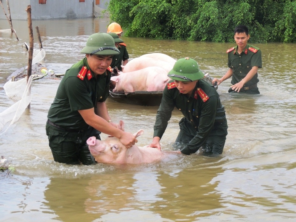 Nước sông Đáy dâng cao, nhiều xã bị ngập lụt - 7