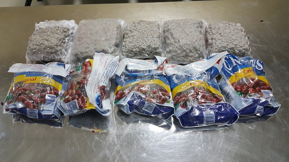12kg cần sa "ẩn" trong các bịch trái cây từ Mỹ về Việt Nam - 1 12kg cần sa "ẩn" trong các bịch trái cây từ Mỹ về Việt Nam - 1