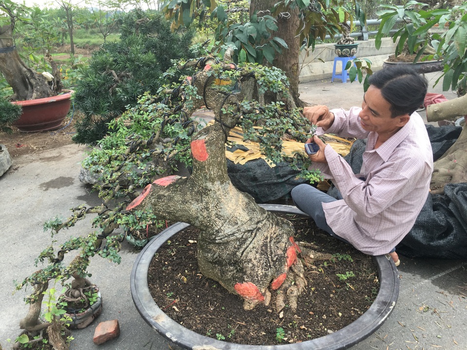Giá chát nghìn đô, đại gia tiếc hùi hụi vì để "vuột" mất cây cần thăng - 3 Chủ cây cần thăng rất tâm huyết với sản phẩm của mình