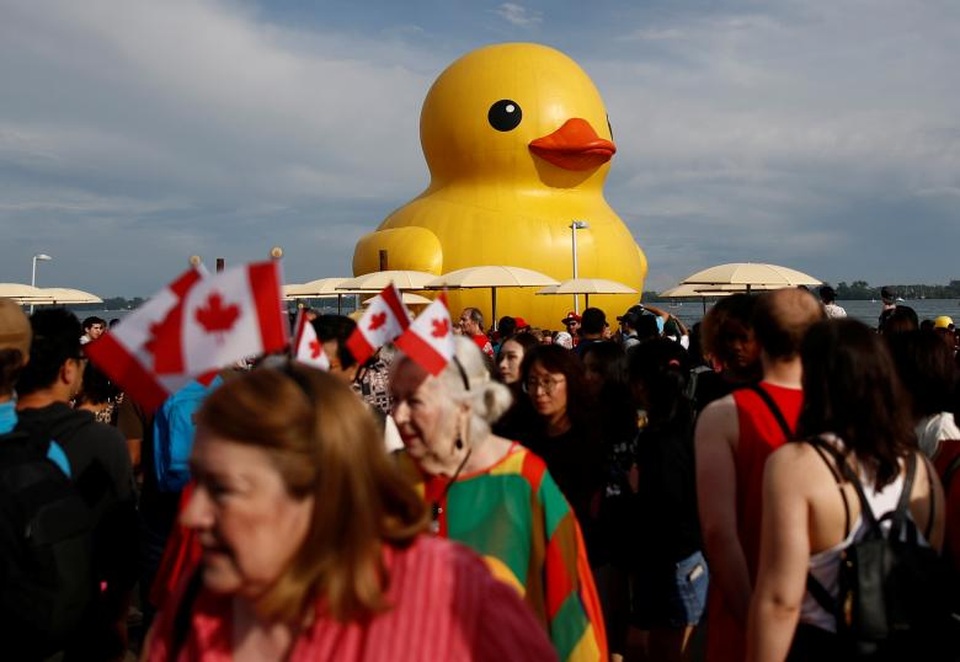Nhân kỷ niệm sinh nhật lần thứ 150, Canada đã tổ chức nhiều hoạt động ngoài trời tại các thành phố để người dân có thể tham gia và hòa mình vào không khí ngày Quốc khánh. Trong ảnh: Một con vịt khổng lồ bằng cao su xuất hiện tại thành phố Toronto, thu hút sự chú ý của nhiều người dân Canada.