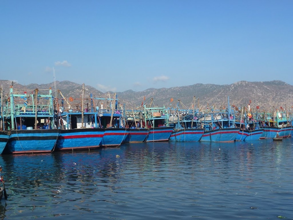 Tập đoàn Hoa Sen được làm cảng trước khi làm thép tại Cà Ná - 1 Tập đoàn Hoa Sen được làm cảng trước khi làm thép tại Cà Ná - 1