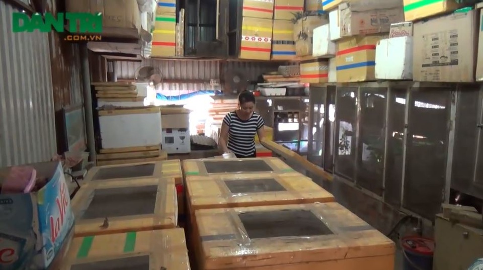Những nghề nhàn nhã kiếm tiền tỷ khó tin ở Hà Nội - 3 Trang trại côn trùng của chị Xuân