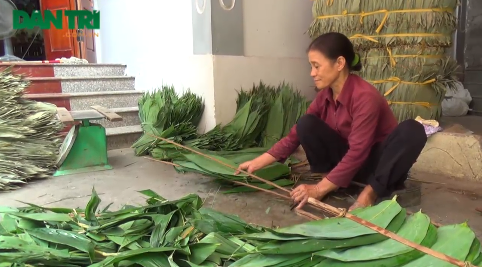 Nông dân kiếm trăm triệu nhờ trồng sim, “nhặt lá” tre rừng - 1 Trung bình mỗi vụ cơ sở chị Triệu xuất khoảng 100 - 200 tấn lá tre sang nước ngoài cho thu nhập không hề nhỏ. Ảnh: Hà Trang