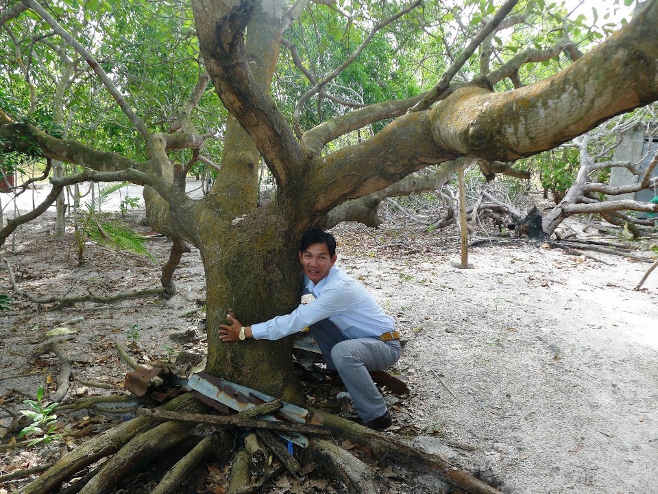 Kiên Giang: 18 hộ dân ở Phú Quốc bất ngờ bị giải tỏa "trắng"! - 3 Ngoài ra, trên các mảnh đất đều có những cây trồng như đào, sao... có tuổi thọ trên 20 năm
