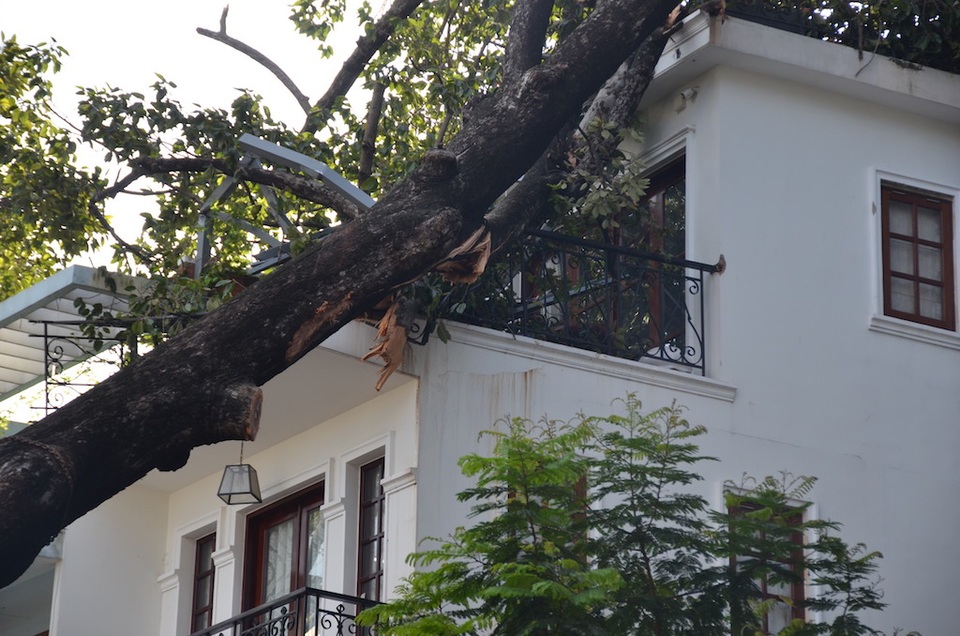 Cây cổ thụ đổ đè nhà 3 tầng ở trung tâm Sài Gòn - 3
Ngọn cây đổ đè vào tầng 3