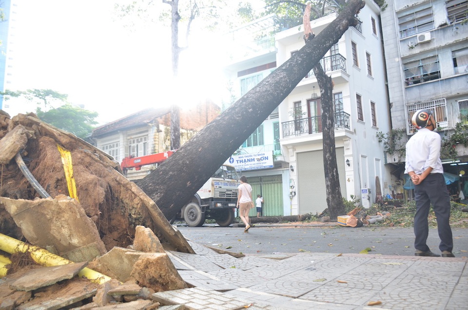 Cây cổ thụ đổ đè nhà 3 tầng ở trung tâm Sài Gòn - 2
Hiện trường cây đổ đè nhà dân ở trung tâm quận 1.
