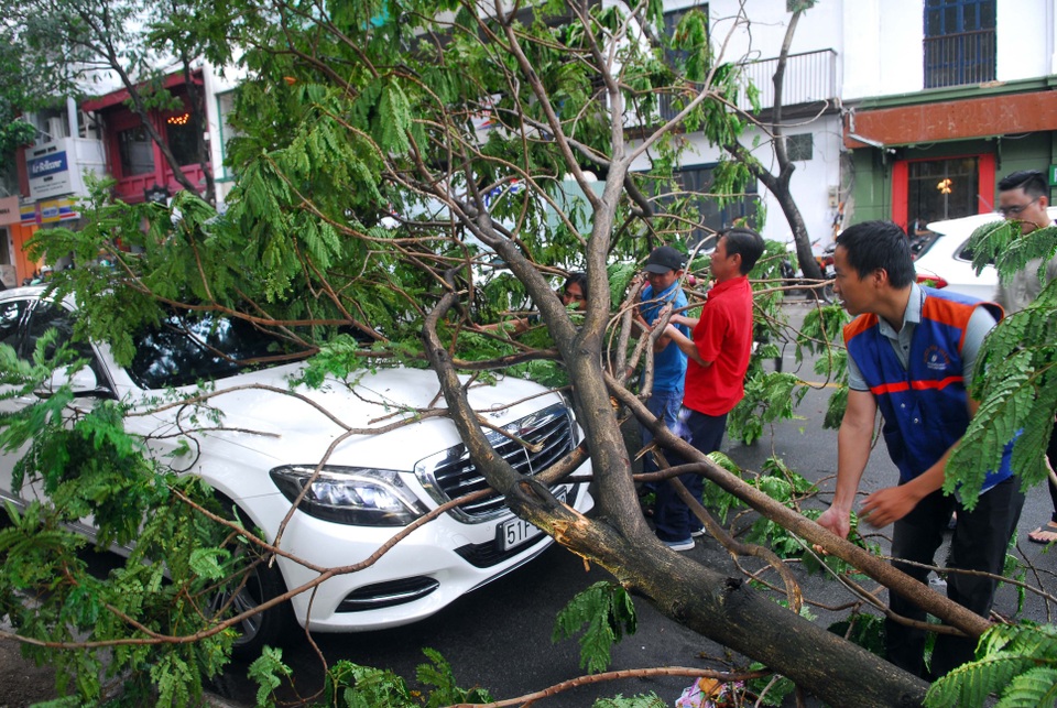 Hàng loạt cây xanh ngã đè nhà dân và ô tô sau trận mưa lớn - 6 Người dân kéo nhánh cây gãy đè lên chiếc ô tô