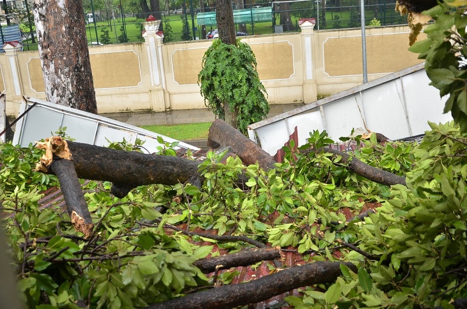 Nhánh cây xuyên thủng trần nhà, 2 vợ chồng thoát chết đầy may mắn - 3 Phần nhánh cây đổ lên mái tôn