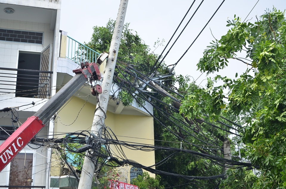 Hàng loạt cây xanh ngã đè nhà dân và ô tô sau trận mưa lớn - 7 Cây xà cừ ngã kéo gãy 2 cột điện