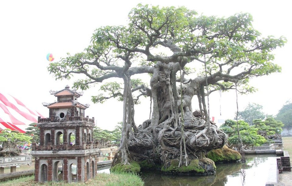 Đại gia Hà Nội đổi 10 cây vàng mua cây sanh cổ đẹp hiếm có - 3 Ông Khoa tự tay thiết kế các tiểu cảnh như: bến nước, sân đình, Tháp Rùa và Đền Ngọc Sơn…