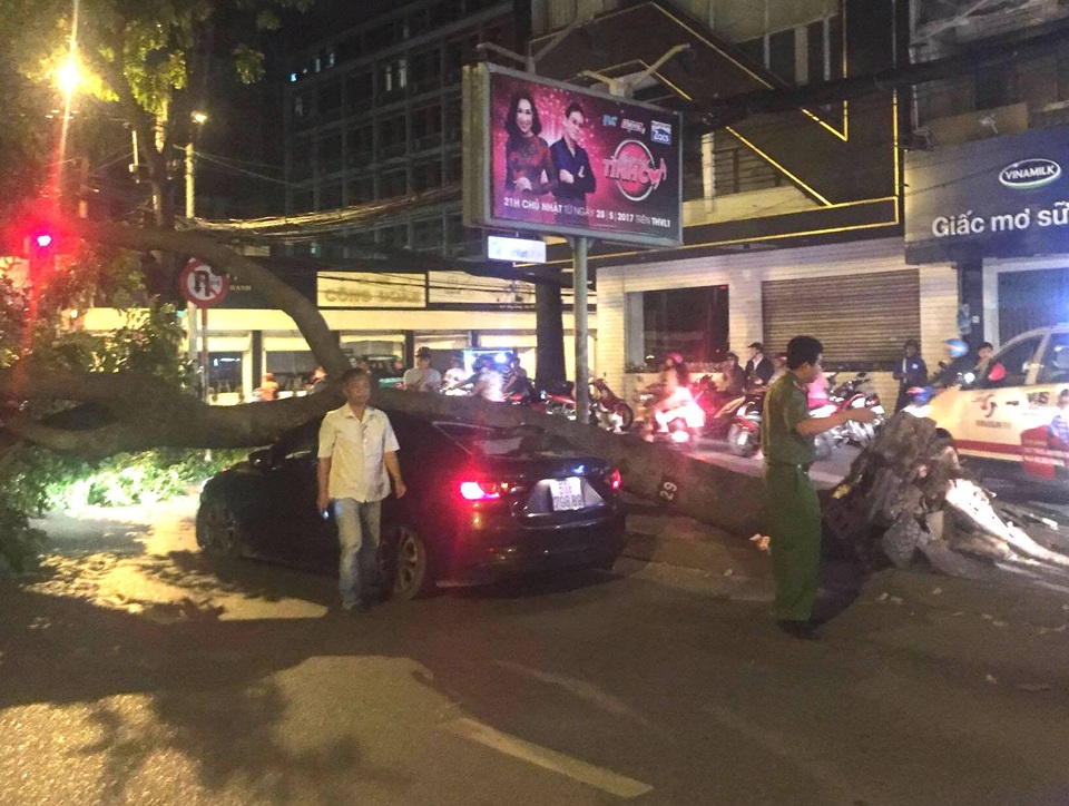 Hiện trường cây xanh đè bẹp ô tô trong đêm